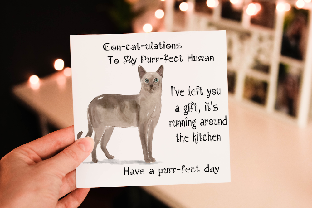 Tonkinese Cat Birthday Card, Cat Birthday Card, Personalized Cat